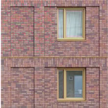 Image (6)