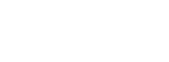 NN_logo
