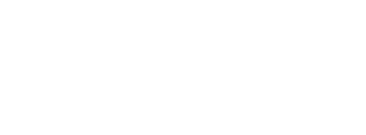 Staedion_logo